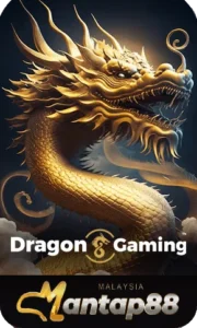 DRAGON GAMING
